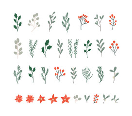 Vector illustration of winter plants: holly berry, mistletoe, poinsettias, pine, cedar, blue spruce. Hand-drawn Christmas plants set in bright colors . Suitable for postcards, invitations, web design.