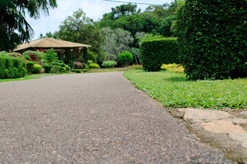 path in the garden