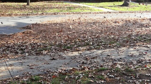 Man operating cleaning the sidewalk with a leaf blower in autumn