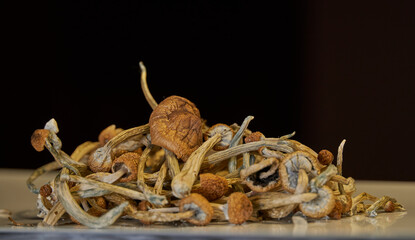 Dried Mushrooms