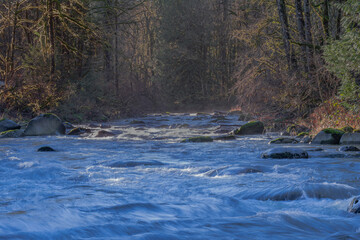 Fototapeta na wymiar 2020-12-02 A RIVER WITH A COLD BLUE TINT BOULDERS AND EVERGREENS IN THE PACIFIC NORTHWEST
