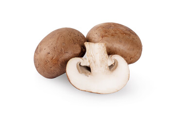 Champignon Mushroom isolated on white background