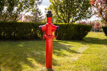 Fototapeta na wymiar Red metal fire hydrant placed on the lawn in the garden in daylight
