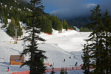 Snow skiers on bottom of ski slope with fence and shack surrounded by coniferous trees.