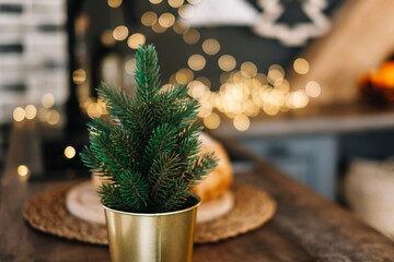 Small decorative Christmas tree in a pot in the kitchen table.