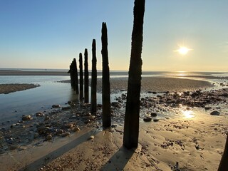 Winchelsea beach landscape view at low tide exposing flat sand with wooden sea groynes protruding from the sand 