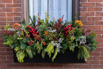 Window box arrangement filled with winter seasonal flowers and plants