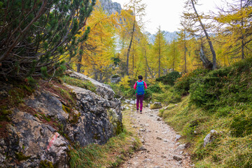 Obraz premium Beautiful autumn for hike in the mountains. Triglav national park in Kranjska Gora, Slovenia.