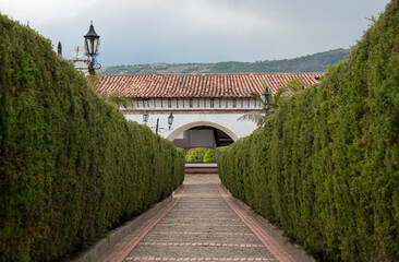 Colombian Guatavita town beautiful shot of a pine trees peatonal path with an old white arc at sunny day 
