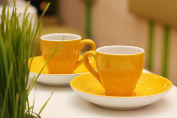 Yellow porcelian cups on a white table with grass. Real grass in the interior of the cafe. Can be used for presentations, decor and web design. Wellness concept.