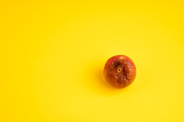 Rotten apple with a worm on a uniform yellow background