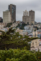 Fototapeta na wymiar San Francisco skyline with Saints Peter and Paul Catholic Church in the foreground