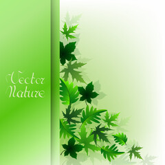 Nature vector banner with fresh green leaves. Spring or summer nature background