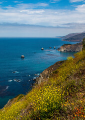 View from the Pacific Coast Highway overlook with flowers and waves crashing onto the shore