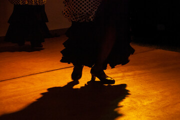 Fototapeta Flamenco obraz