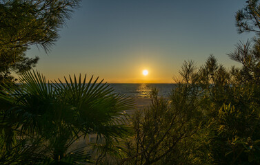 View of sunset in Black Sea through the leaves of palm tree. Autumn sunny evening in Sochi. Atmosphere of rest and relaxation.