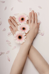 Beautiful hands of a woman holding a rosebud lying on a white background. concept of skin care,...