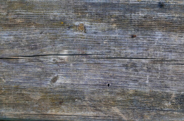 Texture of old wood plank with signs of natural aging