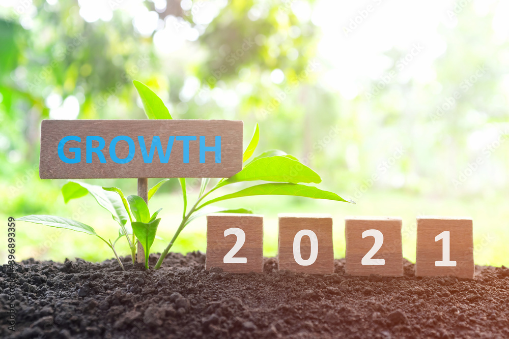 Poster Year 2021 economy and business growth and recovery concept. Wooden blocks 2021 text with growing plant at sunrise on natural background.