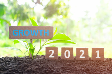 Year 2021 economy and business growth and recovery concept. Wooden blocks 2021 text with growing plant at sunrise on natural background.