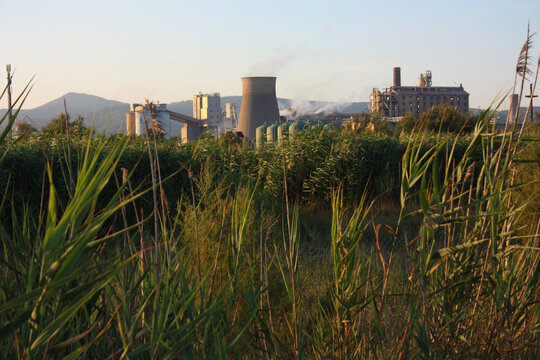 industrial area of ​​chemical factories and chimneys beyond the green vegetation of Rosignano