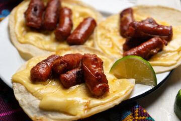 Mexican chistorra tacos with cheese on white background