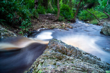 Naklejka na ściany i meble Forest creek running through the stones. Nature landscape with Long exposure shot