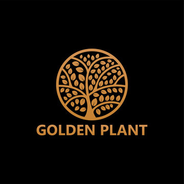 Golden plant logo template design