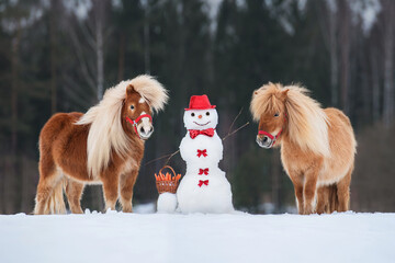 Two miniature shetland breed ponies with a snowman, which has a basket full of carrots. Horse in...
