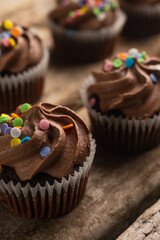 Macro shot of chocolate cupcakes with sprinkling on rustic wooden background. Sweet dessert. Bakery concept. Elegant food. Sweets for coffee or tea.