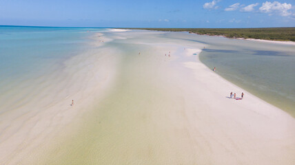 Beautiful top view of a paradise white sand beach. Holbox island aerial view