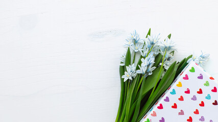 bouquet Fresh blue spring flowers Scilla siberica and gift box. Copy space. 8 march, mother's day, St. Valentine spring background