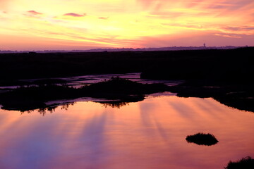 Obraz premium The salt marshes during the sunset.