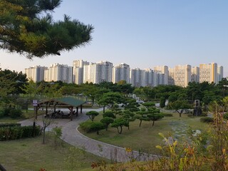 Fototapeta premium Beautiful city park background in siheung city Sout Korea