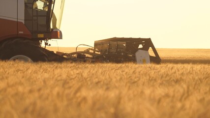 harvester mower mechanism cuts wheat spikelets. Agricultural harvesting works. the harvester moves...