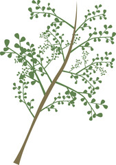 小さな葉と木の枝のイラスト