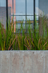 Window of a new retail space available for rent