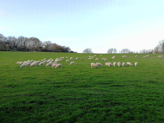 Fototapeta premium going around Dorset, Bristol and Wiltshire