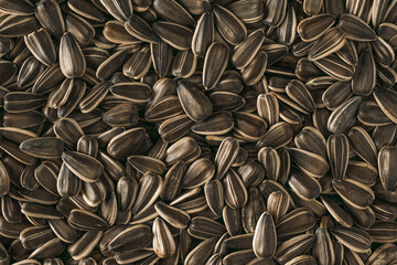 Top view of a large number of ripe sunflower seeds.