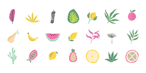 Abstract tropical fruit and forest leaf collection. Modern exotic jungle plant illustration, pattern. Trendy doodle and abstract nature icons, organic shapes on isolated background. Matisse art style