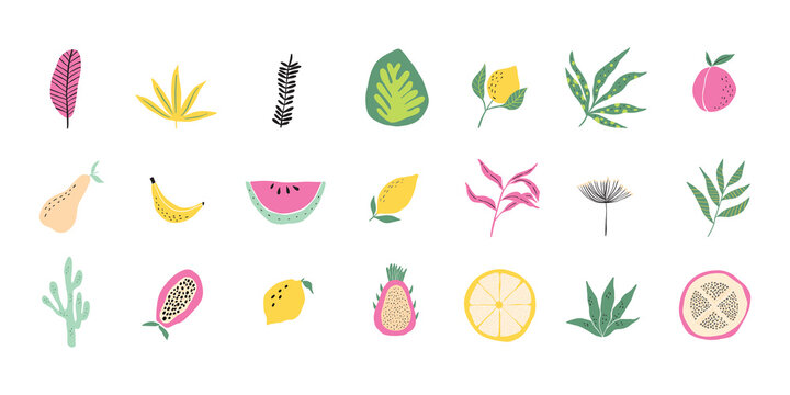 Abstract tropical fruit and forest leaf collection. Modern exotic jungle plant illustration, pattern. Trendy doodle and abstract nature icons, organic shapes on isolated background. Matisse art style