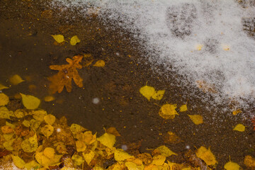 yellow leaf under the snow. Beautiful view for the project. Horizontal image. Good for your text about winter , autumn and season changing.