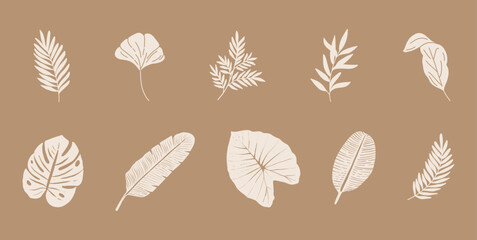 Ten vector tropical leaves, vector isolated on the beige background. Hand drawn plant (banana and monstera) illustration. Vector botanical illustration.