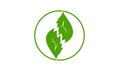 Plant leaf illustration vector icon