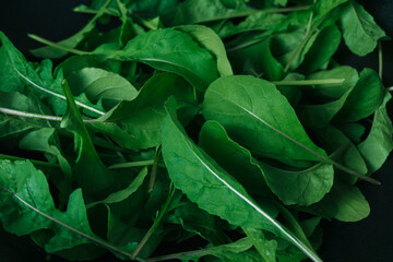 Fototapeta premium Closeup of fresh arugula lettuce leaves