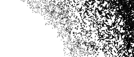 Black and white banner with abstract monochrome texture stipplism effect pattern. Pop art style.