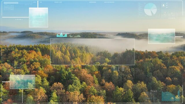 Digital HUD for analyzing the nature of mixed forests. Ecological scan against climate change. Evaluate drone zoom on individual trees with diagrams and figures. Information about new plants.