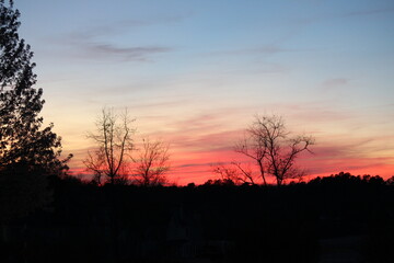 Fototapeta na wymiar Pink Sunset Clouds Trees