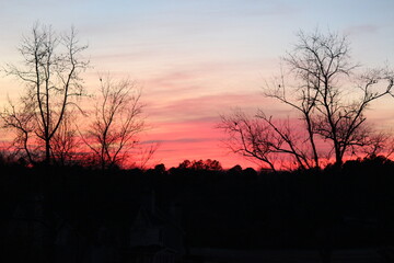 Pink Sunset Clouds Trees