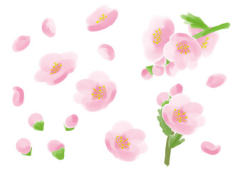 桃のセット　水彩